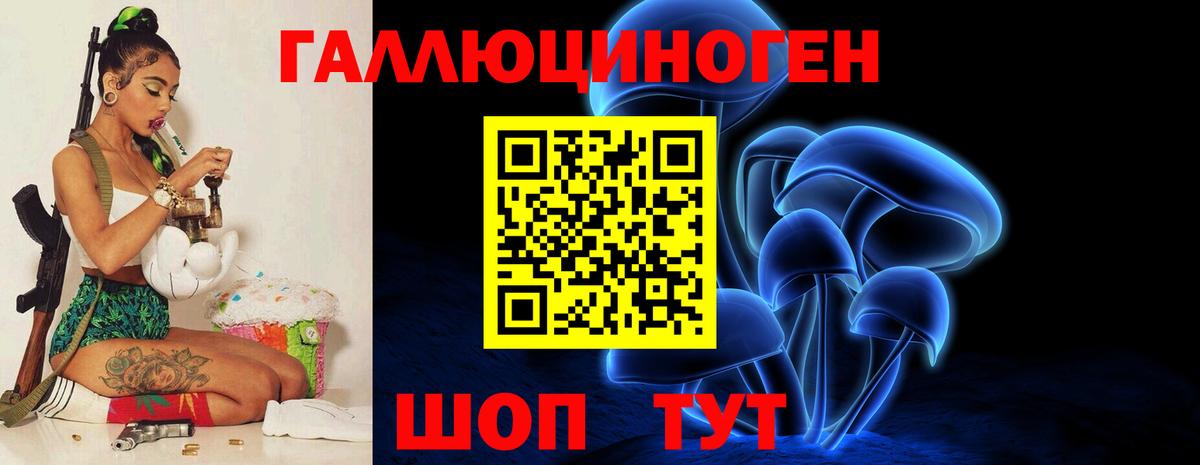 Дальнегорск  Галлюциногенные грибы Magic Shrooms  Вход с VPN 